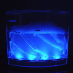 vivarium fourmis fourmilière gel antfarm antquarium ant fourmis colonie observation base lumineuse led