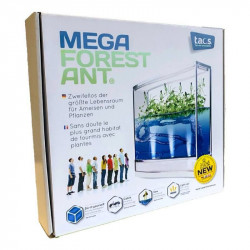 mega forest ant vivarium fourmis fourmilière gel antfarm antquarium colonie observation coffret