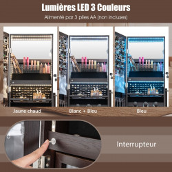 Armoire à Bijoux sur pied, 4 roues verrouillables, miroir pleine longueur, éclairage LED, tiroir, serrure et clé