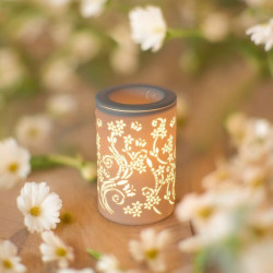 Diffuseur par Chaleur Douce CALORYA N° 1 huiles essentielles parfums senteurs cire parfumée