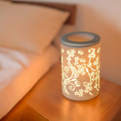 Diffuseur par Chaleur Douce CALORYA N° 1 huiles essentielles parfums senteurs cire parfumée