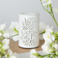 Diffuseur par Chaleur Douce CALORYA N° 5 parfums senteur huiles essentielles diffusion