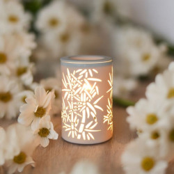 Diffuseur par Chaleur Douce CALORYA N° 5 parfums senteur huiles essentielles diffusion