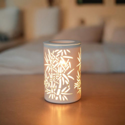 Diffuseur par Chaleur Douce CALORYA N° 5 parfums senteur huiles essentielles diffusion