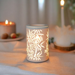 Diffuseur par Chaleur Douce CALORYA N° 5 parfums senteur huiles essentielles diffusion