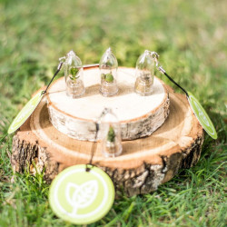 Babyplante petite plante mini cactus succulente porte cle de poche miniature