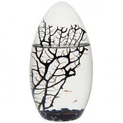 Ecosphère écosytème ovale black edition cailloux noirs crevettes