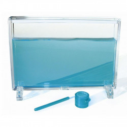 vivarium fourmis fourmilière gel antfarm antquarium ant fourmis colonie observation jungle ants