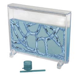 vivarium fourmis fourmilière gel antfarm antquarium ant fourmis colonie observation jungle ants