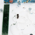 kit fourmilière pédagogique pour observer les fourmis avec colonie pour les enfants