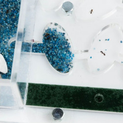 kit fourmilière pédagogique pour observer les fourmis avec colonie pour les enfants