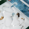kit fourmilière pédagogique pour observer les fourmis avec colonie pour les enfants