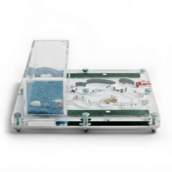 kit fourmilière pédagogique pour observer les fourmis avec colonie pour les enfants