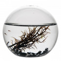 Ecosphère écosytème ronde 10 cm black édition cailloux noirs et blancs crevettes