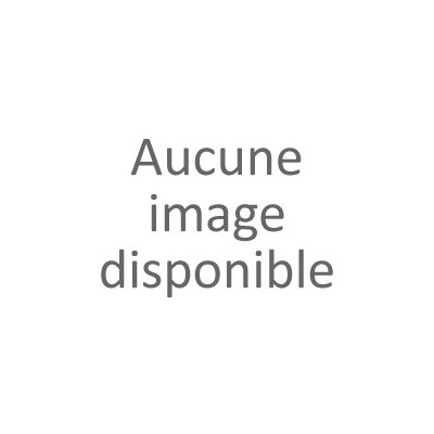 mega forest ant vivarium fourmis fourmilière gel antfarm antquarium colonie observation coffret enfant
